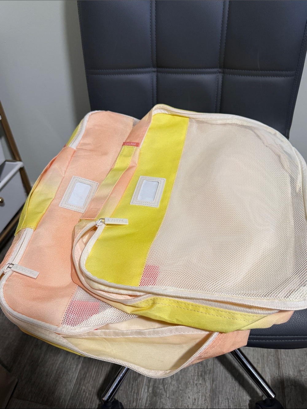 Set of 2 Calpak Organizers